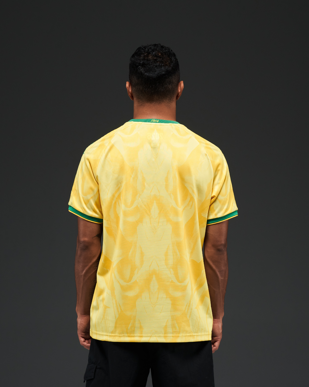 Camiseta Heritage Brasil (Edición Mundial 2026)