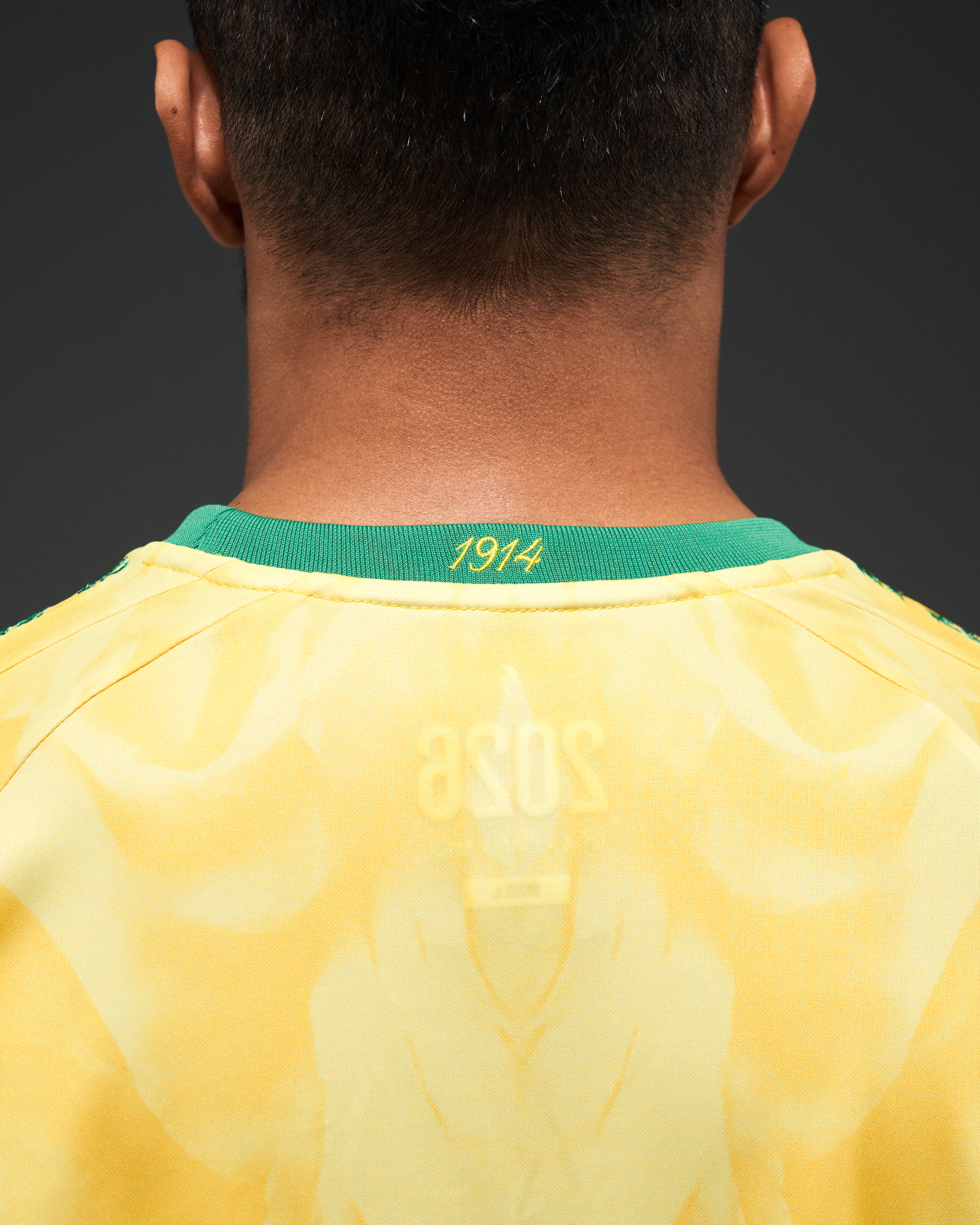 Camiseta Heritage Brasil (Edición Mundial 2026)